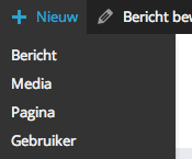 wordpress-bericht-pagina